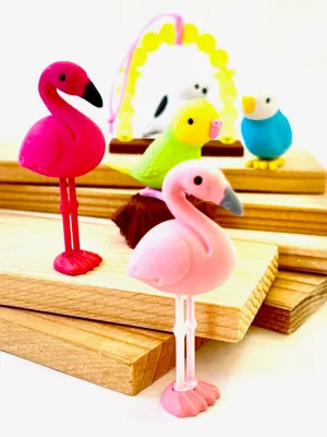 38337 BIRDS ERASER CARD-10 CARDS