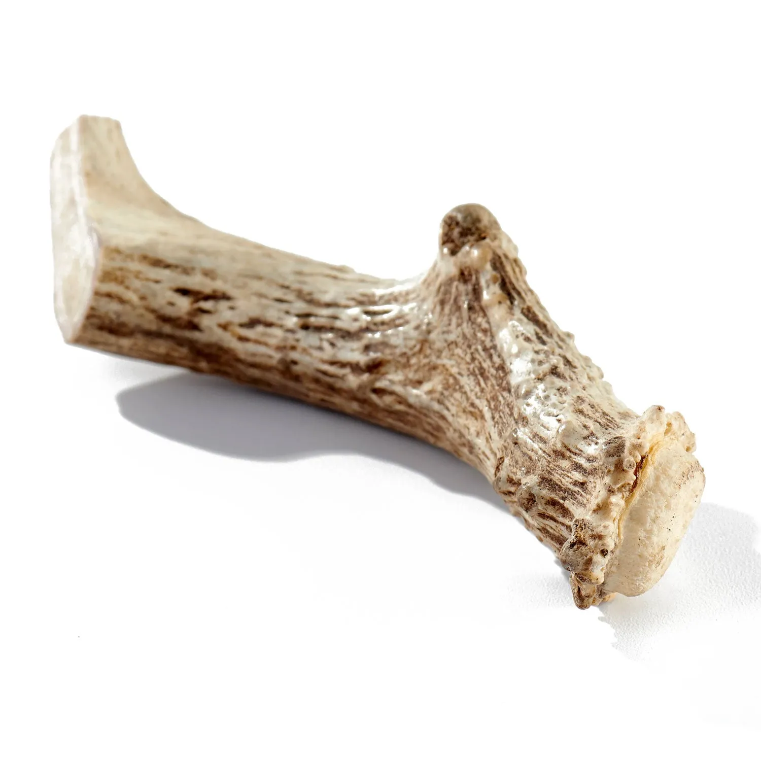 Buck Bone Organics Deer Antler