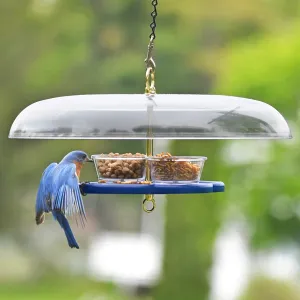 Duncraft Bluebird Fly-In-Fly-Out Feeder