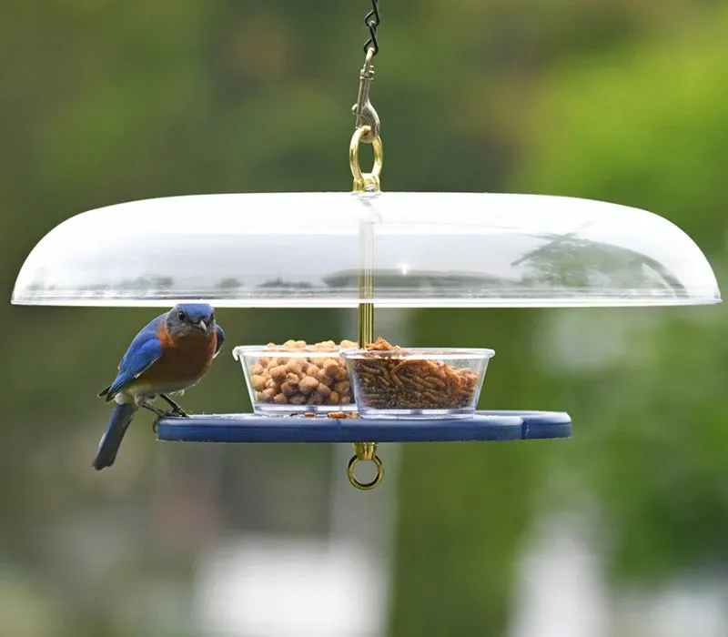 Duncraft Bluebird Fly-In-Fly-Out Feeder