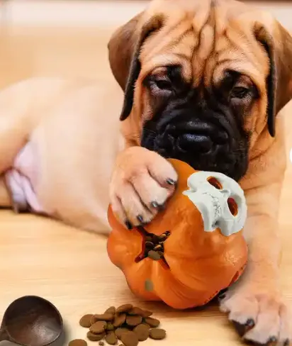 Natural Rubber Skull Pumpkin Treat Release Toy