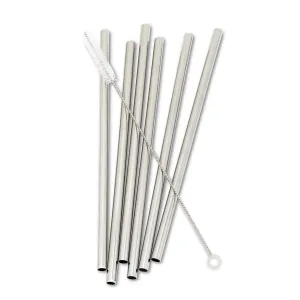 Reusable Straight Wide Straws with Brush