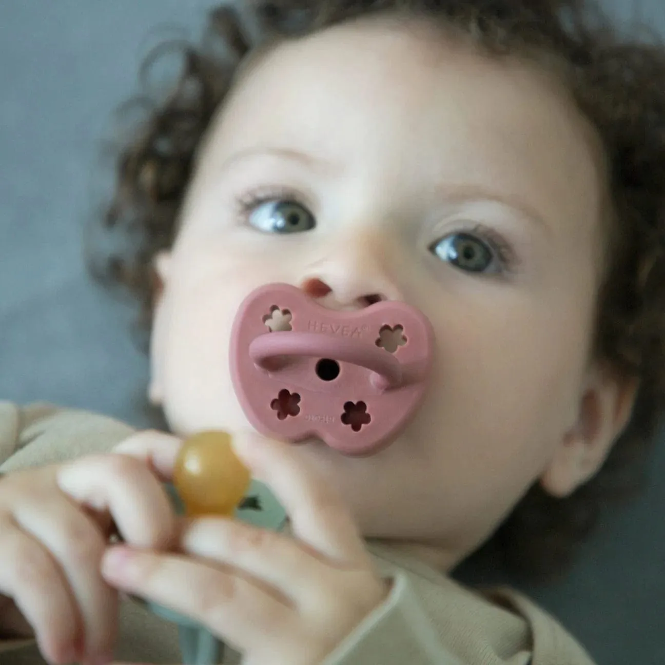 Rosewood Single Pack Round Pacifier