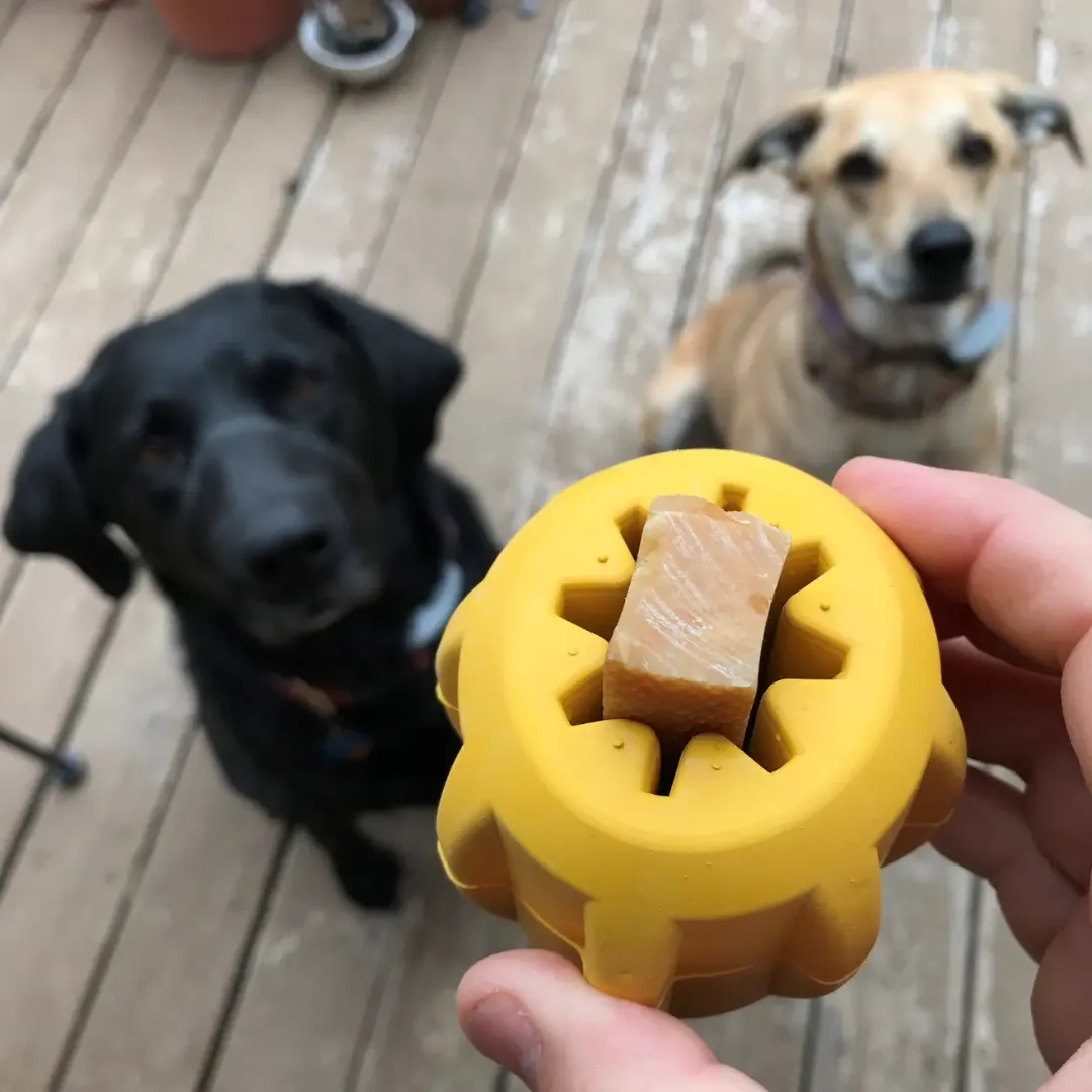 SodaPup Yak Dog Chew Holder