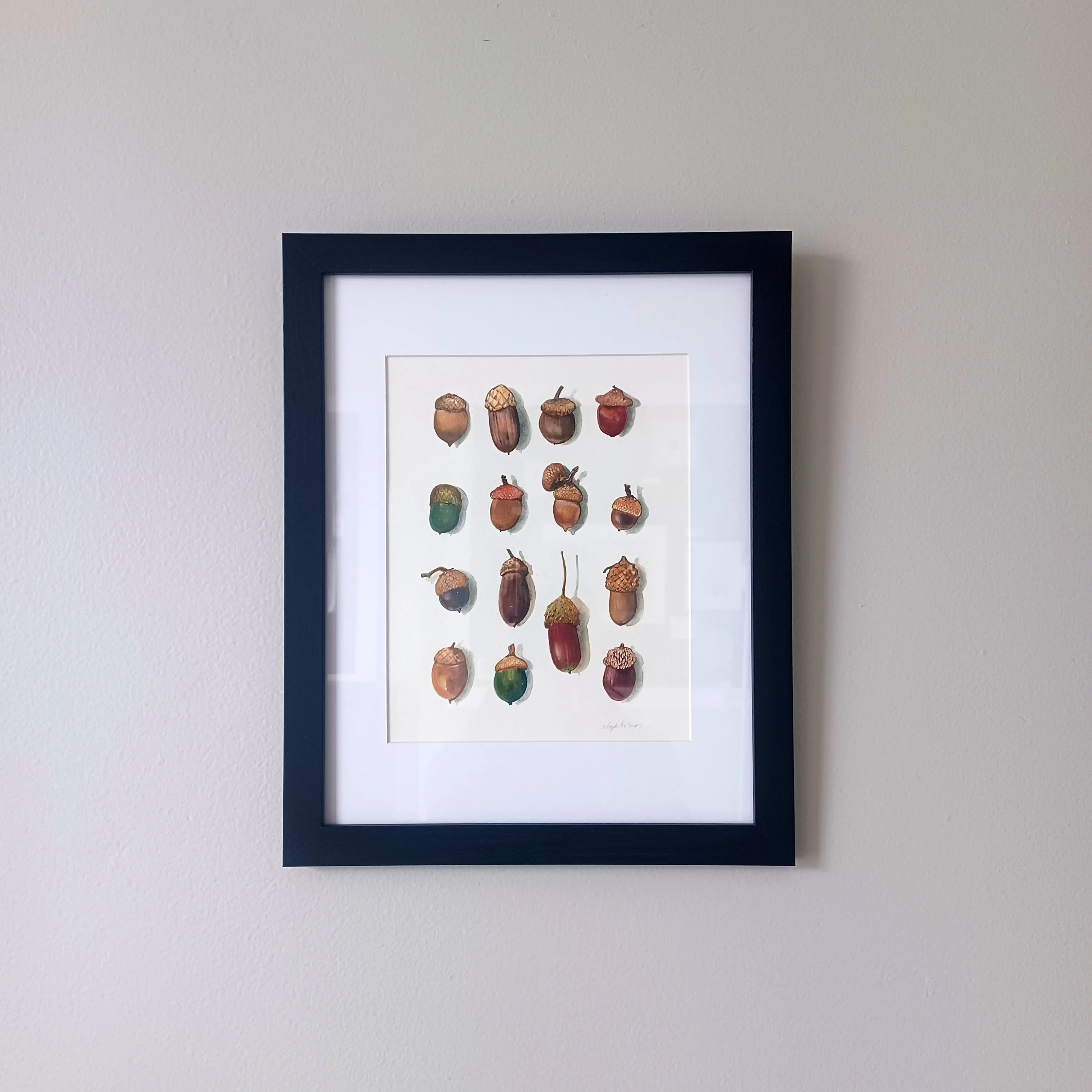 The Explorer's Lucky acorn Collection print